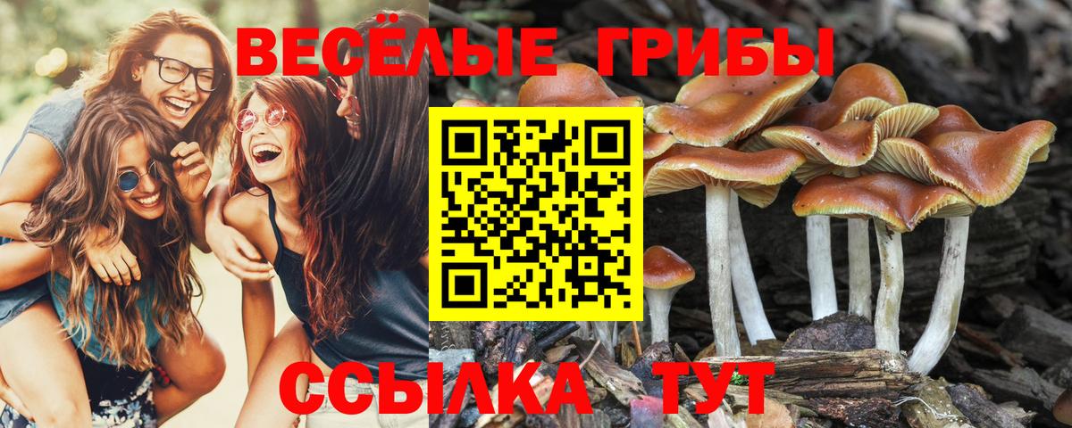 Псилоцибиновые грибы GOLDEN TEACHER  Псилоцибиновые грибы ЛСД  Серов  Вход с VPN 